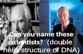 Can you name these scientists? (double helix structure of DNA)double helixDNA Answer: Francis CrickAnswer: Francis Crick and James D. WatsonJames D. Watson.