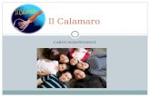 CARTS INDEPENDENT Il Calamaro. Introduction Overview & Goals Design Philosophy Design and Fabrication  Hull  Propulsion  Control  Life Support System.