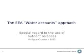 1 The EEA “Water accounts” approach Special regard to the use of nutrient balances Philippe Crouzet / BSS2.