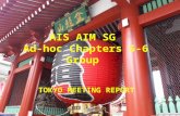 AIS AIM SG Ad-hoc Chapters 5-6 Group TOKYO MEETING REPORT.