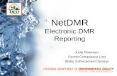 NetDMR Electronic DMR Reporting Kelly Petersen Permit Compliance Unit Water Enforcement Division.