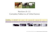 Review ch 11 Complex Patterns of Inheritance Biology.