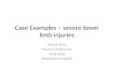 Case Examples – severe lower limb injuries March 2014 Trauma Conference Andy Gray Newcastle Hospitals.