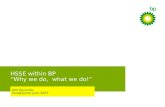 HSSE within BP “Why we do, what we do!” Wilf Reynolds Pangbourne June 2007.