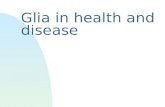 Glia in health and disease. Aim nunderstand role of glial cells u in health F astrocytes F oligodendrocytes F microglia u and disease.
