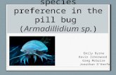 Leaf litter species preference in the pill bug ( Armadillidium sp. ) Emily Byrne Kevin Isherwood Greg McGuire Jonathan O’Keefe.