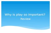Why is play so important? Review.  Play: A pleasurable activity engaged in for its own sake, with means emphasized rather than ends. Play is not usually.