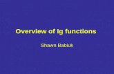 Overview of Ig functions Shawn Babiuk. Overview of Ig Functions Neutralization Opsonization ADCC Complement Mucosal Immunity Immune Evasion Review through.