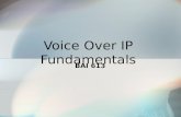 Voice Over IP Fundamentals BAI 613. Course Objectives PSTN Fundamentals Voice over IP Technology Quality of Service VoIP Signaling Protocols Enterprise.