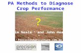 PA Methods to Diagnose Crop Performance ? Tim Neale 1 and John Heap 2 1 PrecisionAgriculture.com.au 2 SARDI.
