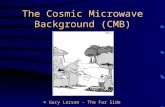 © Gary Larson – The Far Side The Cosmic Microwave Background (CMB)