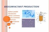 B IOSURFACTANT P RODUCTION Author’s profile Introduction Article 1 summary Article 2 summary Comparison Personal Opinion References.