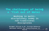 The challenges of being a “Fish out of Water” Working in multi-disciplinary teams in non-traditional disciplines Bridget Allison & Dr. Kirsten McKenzie.