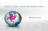 Alvin C York: A True Tennessee Hero Whitney Goins.