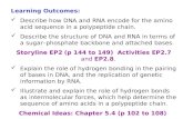 Learning Outcomes: Describe how DNA and RNA encode for the amino acid sequence in a polypeptide chain. Describe the structure of DNA and RNA in terms of.