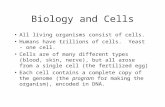 Biology and Cells All living organisms consist of cells. Humans have trillions of cells. Yeast - one cell. Cells are of many different types (blood, skin,