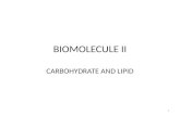 BIOMOLECULE II CARBOHYDRATE AND LIPID 1. CARBOHYDRATE Energy sources Glucose – the most important –major metabolic fuel precursor for other carbohydrate.