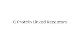 G Protein Linked Receptors. Introduction G-protein-linked receptors are the largest family of cell-surface receptors. More than 100 members have already.
