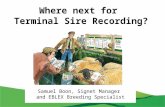 Where next for Terminal Sire Recording? Samuel Boon, Signet Manager and EBLEX Breeding Specialist.