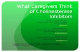What Caregivers Think of Cholinesterase Inhibitors Neena L. Chappell, PhD, FRSC Canada Research Chair in Social Gerontology University of Victoria nlc@uvic.ca.