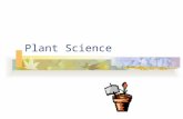 Plant Science. Career Areas Forest careers are related to growing, managing, and harvesting trees for wood and wood by-products.