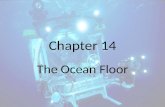 Chapter 14 The Ocean Floor. Section 14.1 The Vast World Ocean.