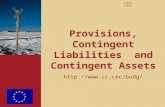 PwC Provisions, Contingent Liabilities and Contingent Assets http://www.cc.cec/budg