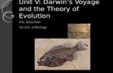 Unit V: Darwin’s Voyage and the Theory of Evolution Ms. Buechler Int.Sci. 4/Biology.