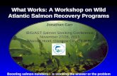 What Works: A Workshop on Wild Atlantic Salmon Recovery Programs Jonathan Carr IBIS/AST Salmon Stocking Conference November 27/28, 2013 Marriott Hotel,