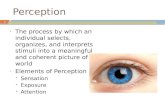 Perception 1 The process by which an individual selects, organizes, and interprets stimuli into a meaningful and coherent picture of the world Elements.
