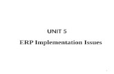 UNIT 5 ERP Implementation Issues 1. Syllabus Opportunities and problems in ERP selection and implementation Identifying ERP benefits Team formation Consultant.