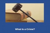 3Chapter SECTION OPENER / CLOSER: INSERT BOOK COVER ART What Is a Crime?
