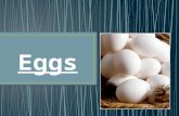 Shell Protects the egg during handling Prevents moisture from escaping The breed of egg determines color- no effect on quality, flavor or nutrition.