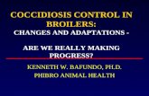 COCCIDIOSIS CONTROL IN BROILERS: CHANGES AND ADAPTATIONS - ARE WE REALLY MAKING PROGRESS? KENNETH W. BAFUNDO, PH.D. PHIBRO ANIMAL HEALTH.