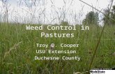 Weed Control in Pastures Troy D. Cooper USU Extension Duchesne County.