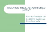 WEANING THE MALNOURISHED INFANT Noel W. Solomons MD CeSSIAM, Guatemala City, Guatemala.