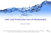 Manzoor Qadir FAO/UNEP/UNU-INWEH/UNW-DPC/IWMI/ICID First Regional Workshop of the Capacity Development Project on Safe Use of Wastewater, 18-19 February.