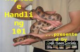 Reptile Handling 101...presented by. Common Reptiles in Captivity.