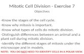 Mitotic Cell Division - Exercise 7 Objectives -Know the stages of the cell cycle. -Know why mitosis is important. -Know what types of cells do mitotic.