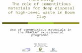 13 th Exchange Meeting The role of cementitious materials for deep disposal of high-level waste in Boom Clay Use of cementitious materials in the PRACLAY.
