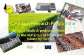 ACP Sugar Research Programme 1 The sugar research projects supported by the ACP group of States and funded by the EU.