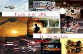 In Pinellas County Fire and EMS Delivery. WHO?Multi - Jurisdictional Committee comprised of fire chiefs, financial representatives and county fire and.
