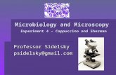 Microbiology and Microscopy Experiment 4 – Cappuccino and Sherman Professor Sidelsky psidelsky@gmail.com.
