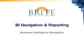 BI Navigation & Reporting Business Intelligence Navigation.