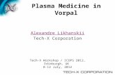 Plasma Medicine in Vorpal Tech-X Workshop / ICOPS 2012, Edinburgh, UK 8-12 July, 2012 Alexandre Likhanskii Tech-X Corporation.