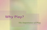 Why Play? The Importance of Play. Importance of Play  Children are active learners who construct their knowledge and understanding of their world through.