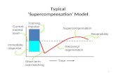 1 Typical ‘Supercompensation’ Model Current trained level Immediate response Training impulse Supercompensation Reversibility Recovery/ regeneration Short-term.