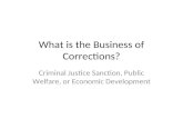 What is the Business of Corrections? Criminal Justice Sanction, Public Welfare, or Economic Development.