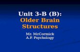 Unit 3-B (B): Older Brain Structures Mr. McCormick A.P. Psychology.