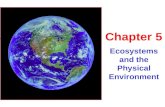 Ecosystems and the Physical Environment Chapter 5.